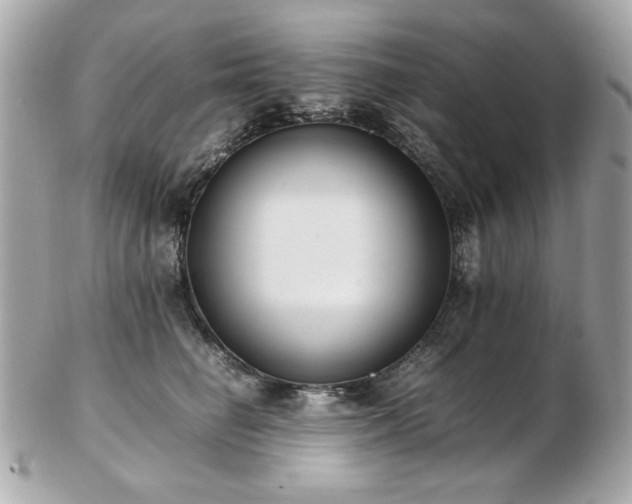 X0000103270662200808291241