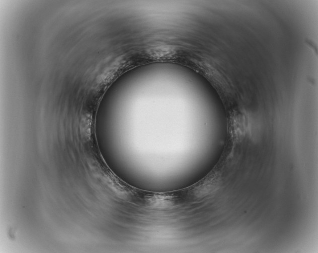 X0000103270664200808291241