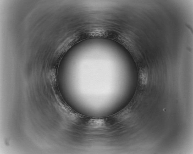 X0000103270665200808291241