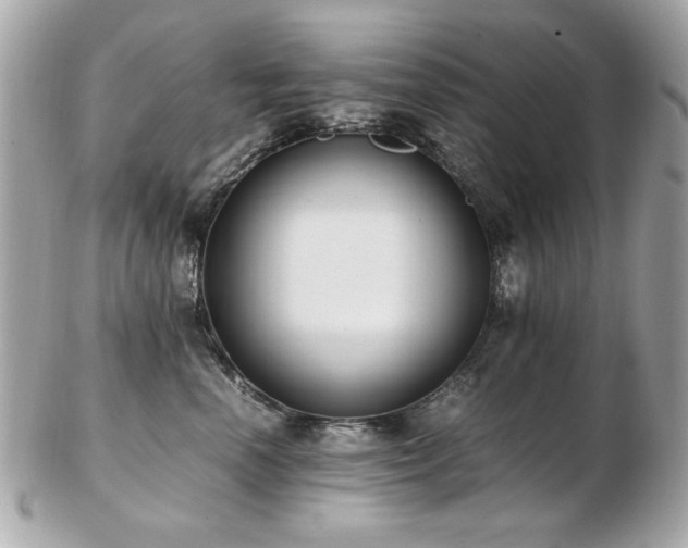 X0000103270666200808291241