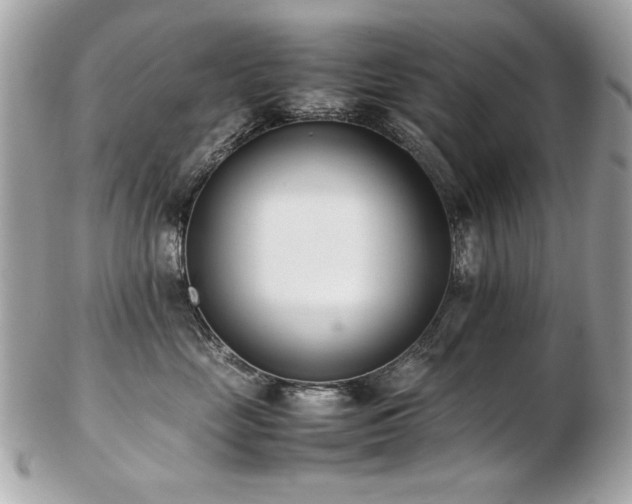 X0000103270669200808291241