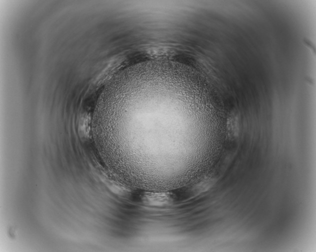 X0000103270671200808291241