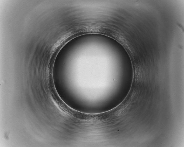 X0000103270674200808291241