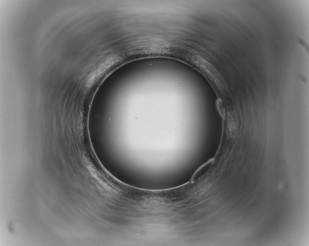 X0000103270677200808291240