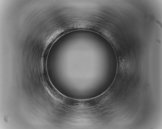 X0000103270678200808291240