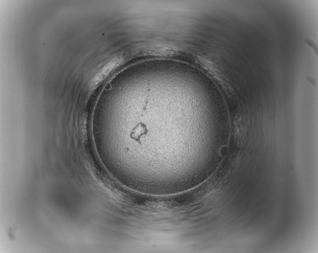 X0000103270679200808291240