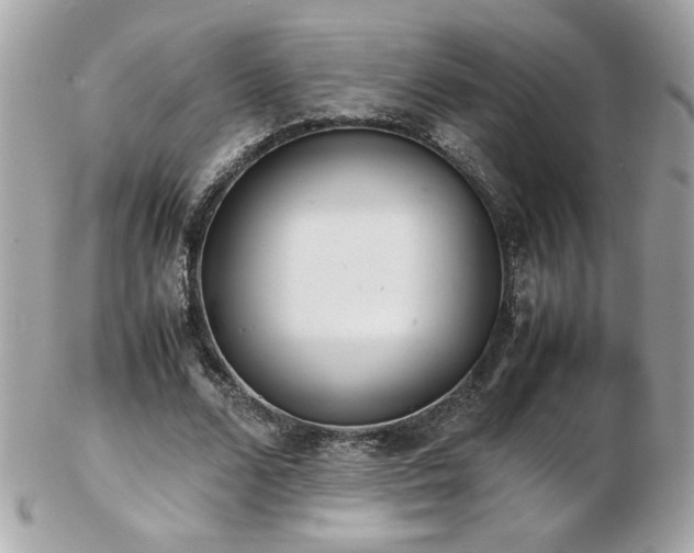 X0000103270680200808291240