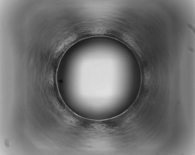 X0000103270681200808291240