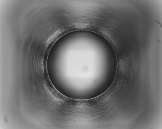 X0000103270682200808291240