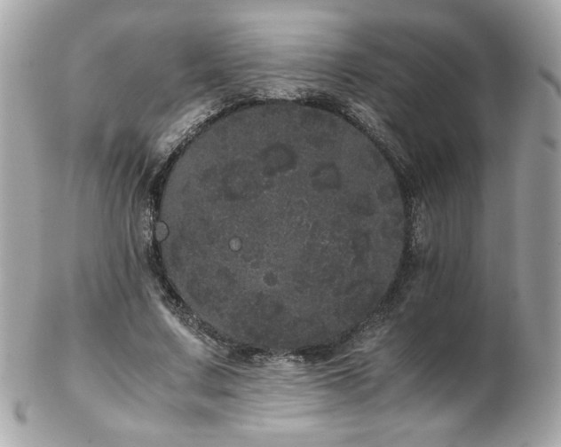 X0000103270683200808291240