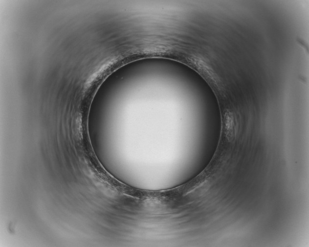 X0000103270684200808291240