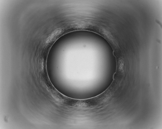 X0000103270685200808291240