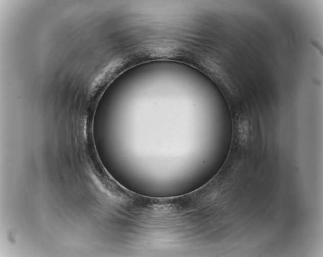 X0000103270686200808291240