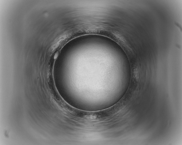 X0000103270687200808291240