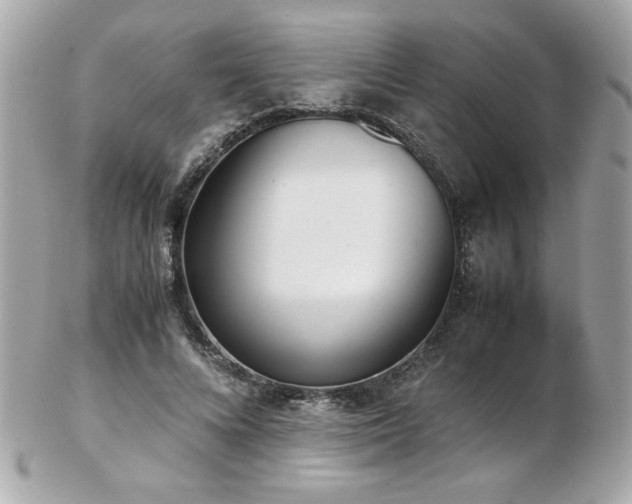 X0000103270688200808291240