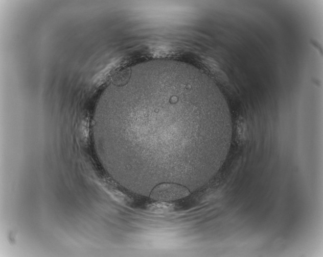 X0000103270691200808291240