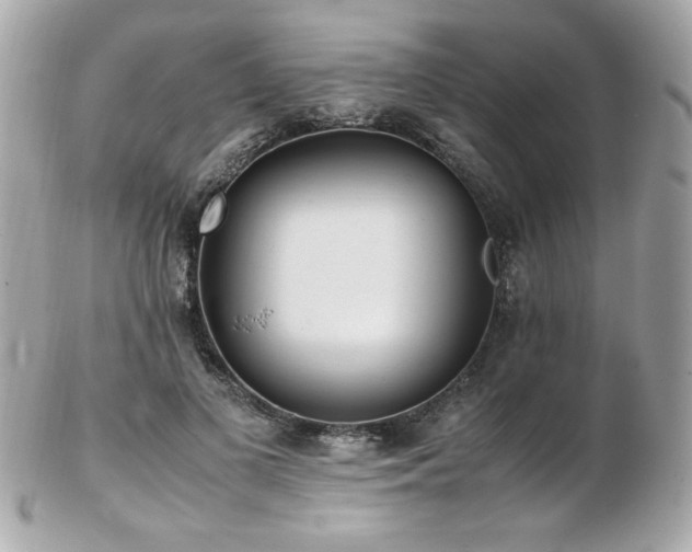 X0000103270693200808291240