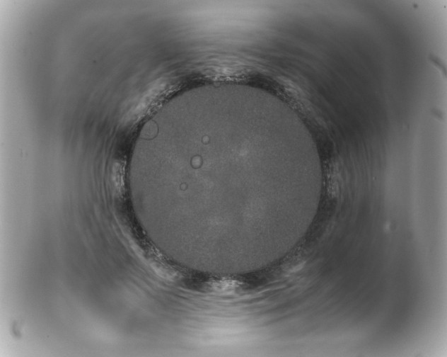 X0000103270695200808291240