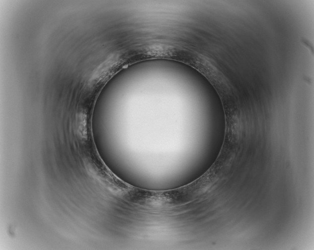 X0000103270696200808291240