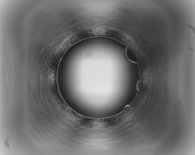 X0000103270697200808291240