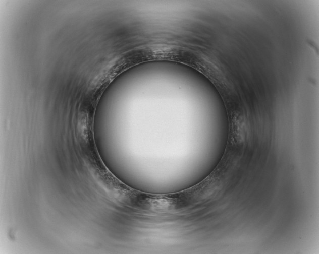 X0000103270698200808291240