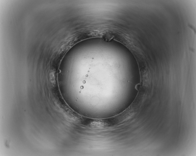 X0000103270699200808291240