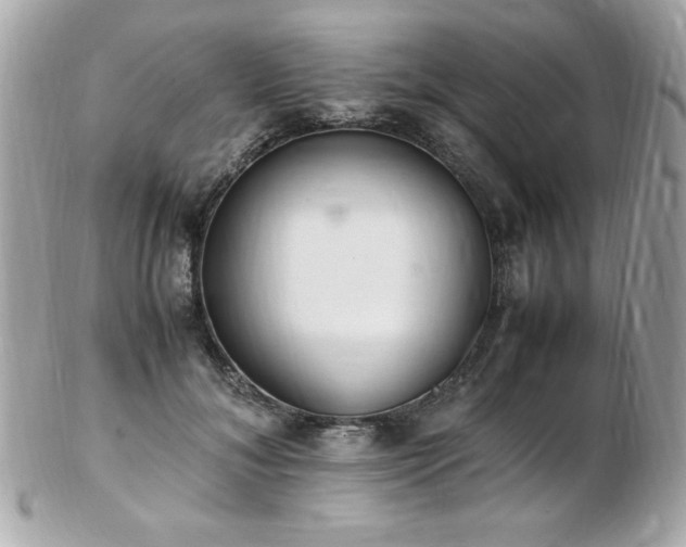 X0000103270700200808291240