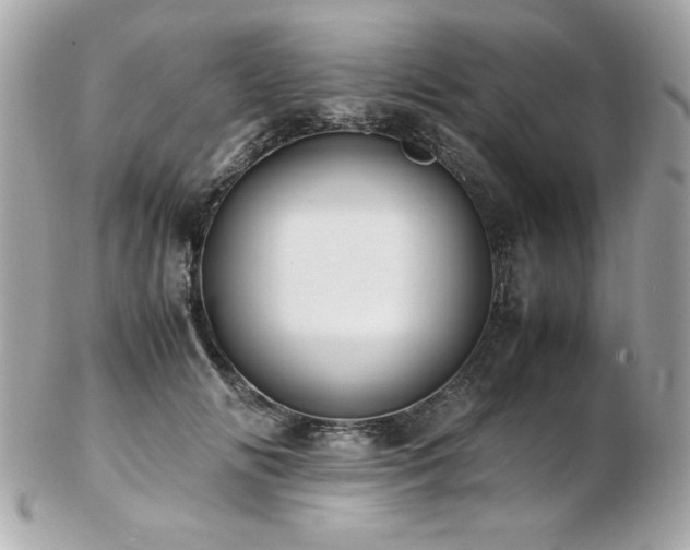 X0000103270702200808291240