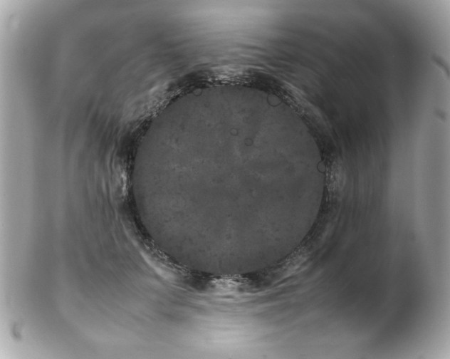 X0000103270703200808291240