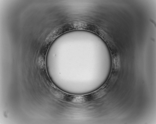 X0000103270705200808291240