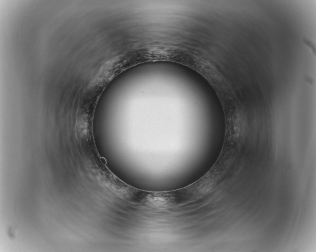 X0000103270706200808291240