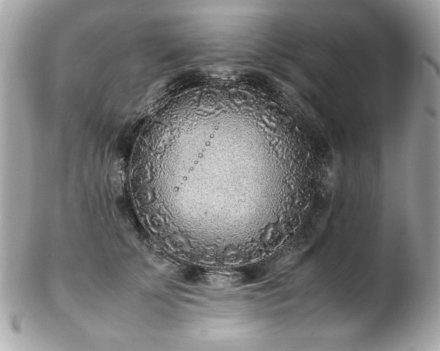 X0000103270707200808291240