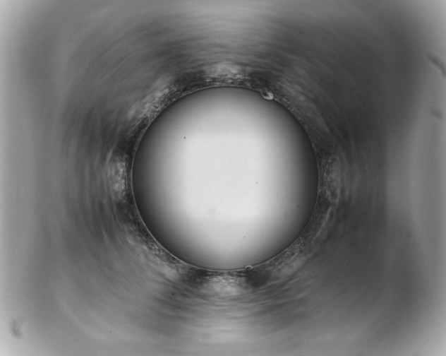 X0000103270708200808291240