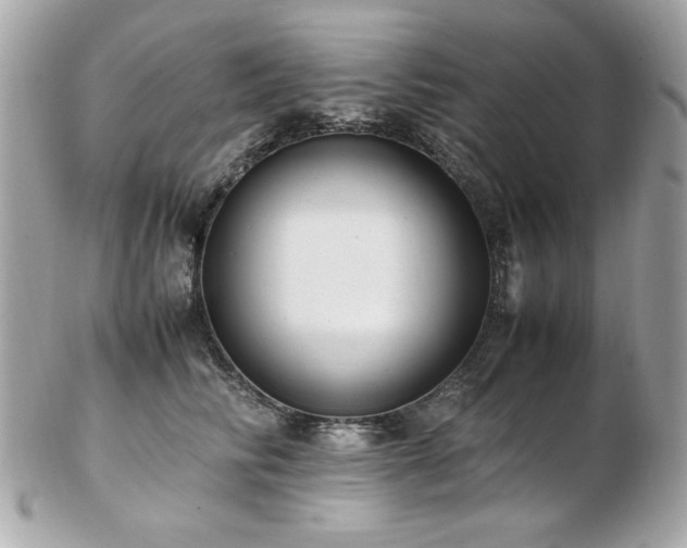 X0000103270710200808291240