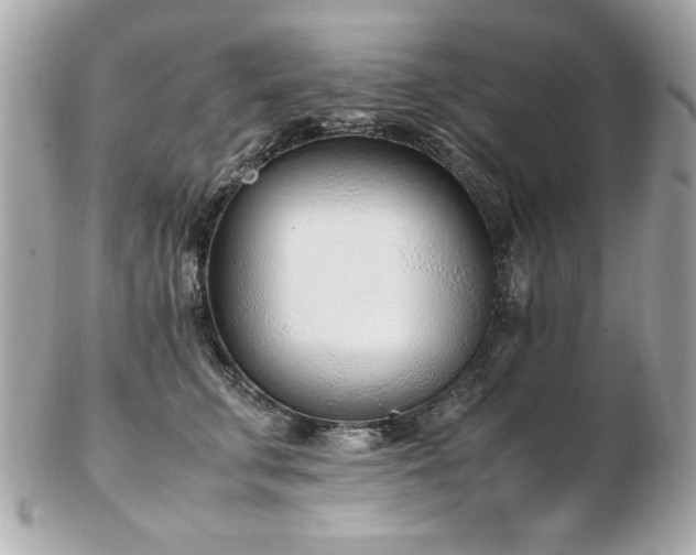 X0000103270711200808291240