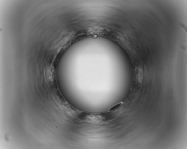 X0000103270712200808291240