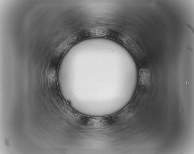 X0000103270713200808291240