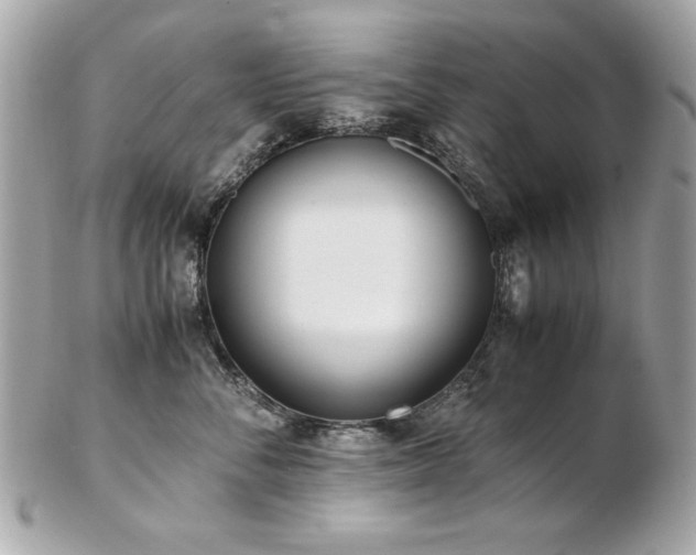 X0000103270716200808291240