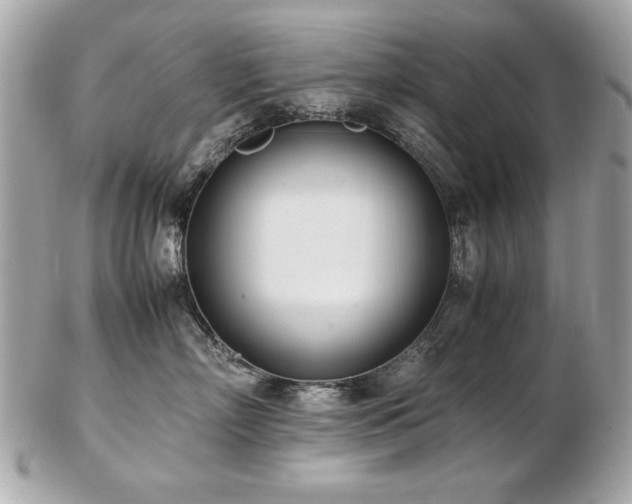 X0000103270718200808291240