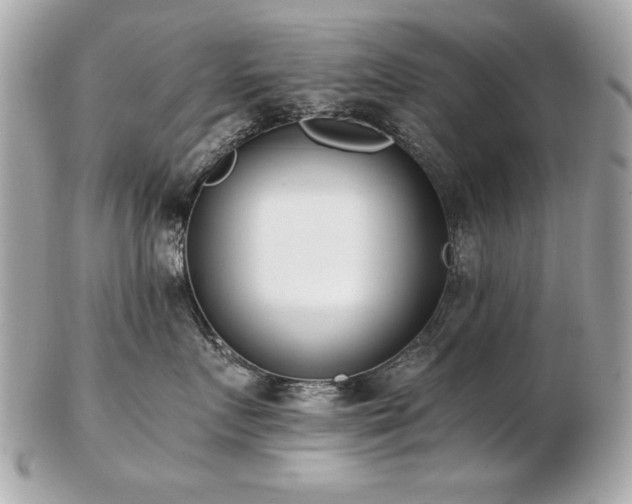 X0000103270719200808291240