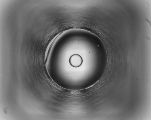 X0000103270720200808291240