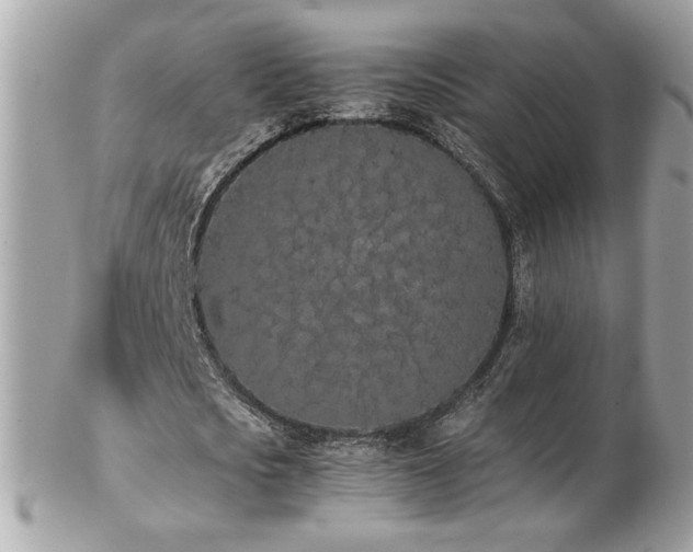 X0000103270721200808291239