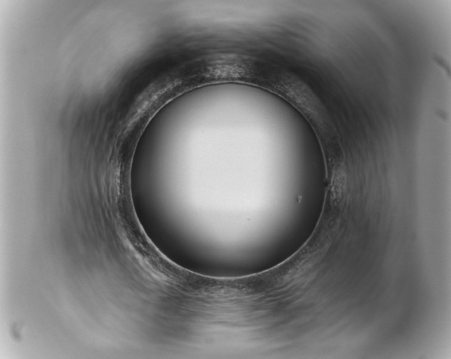 X0000103270722200808291239