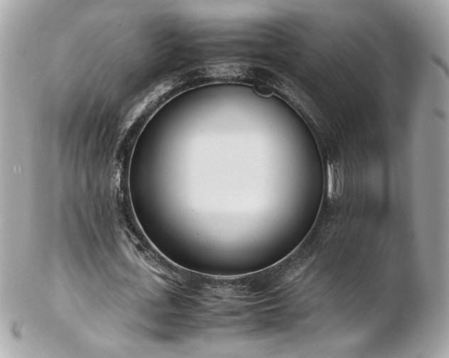 X0000103270723200808291239