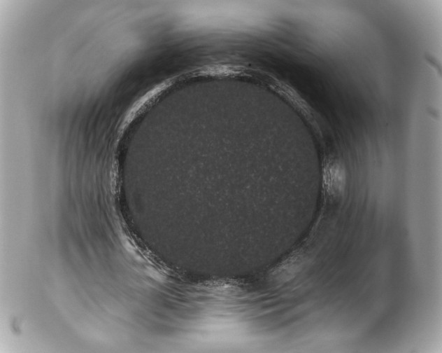 X0000103270724200808291239