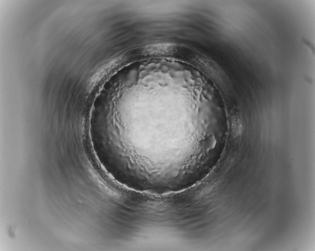 X0000103270725200808291239