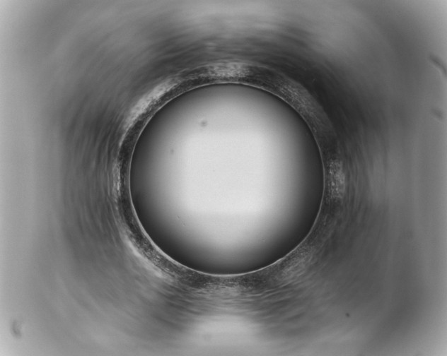 X0000103270726200808291239