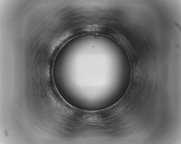 X0000103270727200808291239