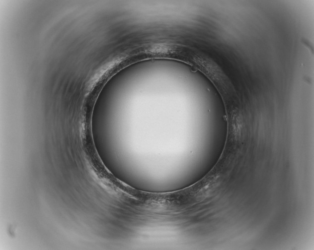 X0000103270728200808291239