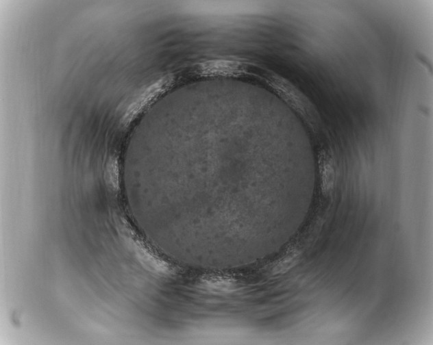 X0000103270729200808291239